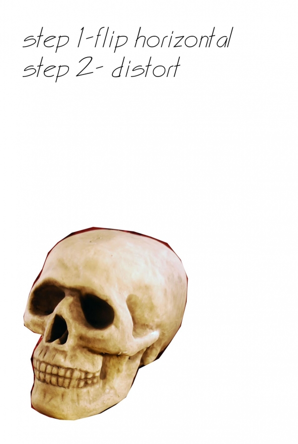 Creation of skulls: Step 1